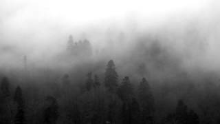 Trespassers William - Surrounded