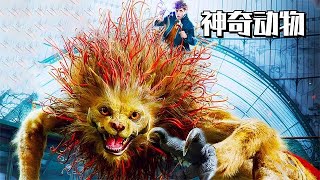 中國山海經里的神獸都到哪里去了？這部電影可能會給你答案！