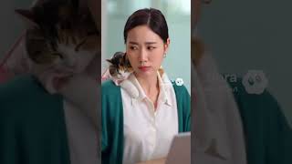 Workplace stress reliever 職場解壓神器 職場のストレス解消法 직장 스트레스 해소제 บรรเทาความเครียดในที่ทำงาน #funny #cute #職場