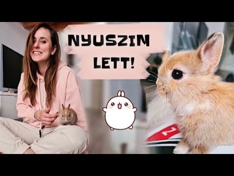 közös mentő balzsam a kis ujj ízülete fáj hogy mit kell tenni