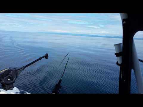 July 2016 Strait of Juan de Fuca