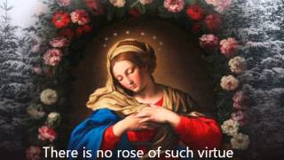 Sting - There Is No Rose of Such Virtue (with lyrics)