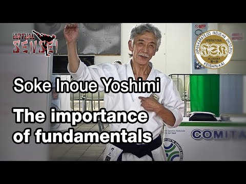 Soke Inoue Yoshimi - The importance of fundamentals - Seminar Italy 2013
