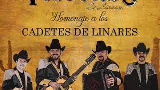 El Caballo Jovero Los Viejones de Linares