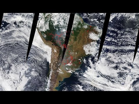 Brazil: State of Amazonas declares state of emergency over rising number of forest fires