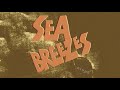 Bryan Ferry - Sea Breezes (Official Audio)