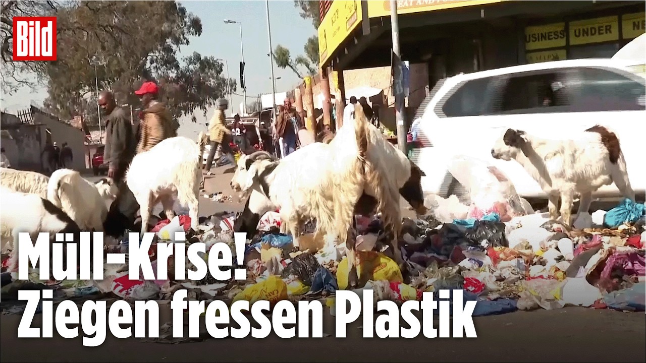 Johannesburg erstickt im Müll: Mehr als 2000 illegale Brennpunkte mitten in der Stadt