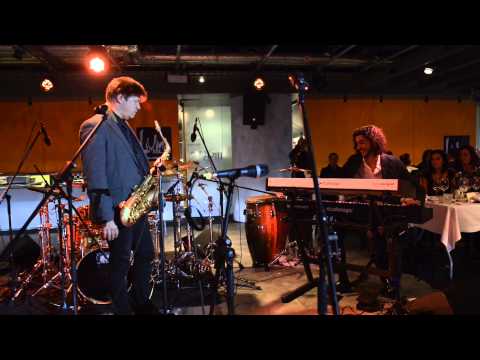 Studiologic Marco Parisi Live Frankfurt 2013 NumaConcert