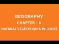 Natural Vegetation And Wildlife Chapter 6 Geography NCERT Class 7