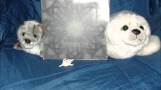 Maeror Tri - Timeless Transcension