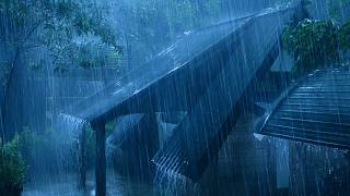 (No Ads) Peaceful Thunderstorm Sounds on Tin Roof 🌧️ Relax Your Mind & Sleep Deeply Fast