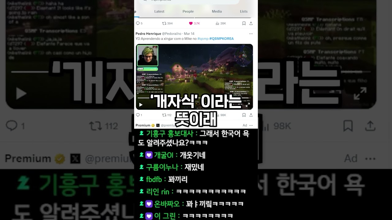 Swearing with a foreign friend #qsmp #mikethelink #yd