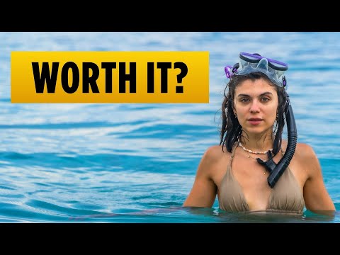 3 Days in Moalboal (Philippines Best Destination?)