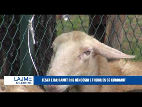 FESTA E BAJRAMIT DHE RËNDËSIA E THERRJES SË KURBANIT