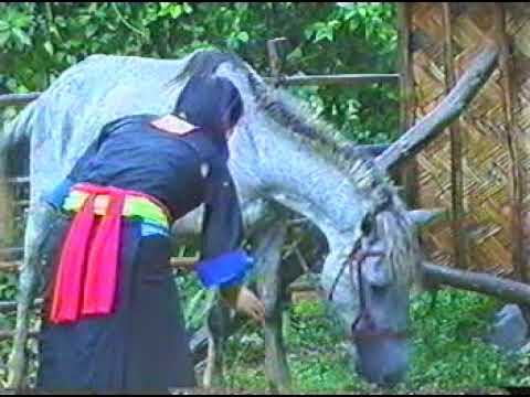 Hmong new movie - Nkauj Mim See Txoj Kev Ua Ntsuag Nyob Ntiaj Teb No Part 1.2