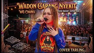 Download lagu COVER TARLING // NYEKIT // VOC.WADON GARANG TERBARU 2026 mp3 Download lagu COVER TARLING // NYEKIT // VOC.WADON GARANG TERBARU 2026 mp3