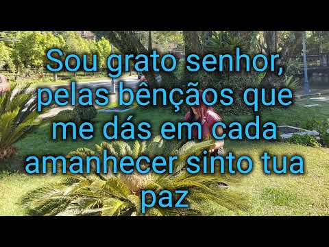 Gratidão Senhor Luiz vieira..  com letra