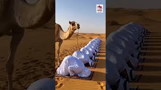 Download lagu https://youtube.com/shorts/UzvzMj9Rd0g?si=qJFpT_WPufmIN5KH mp3 Download lagu https://youtube.com/shorts/UzvzMj9Rd0g?si=qJFpT_WPufmIN5KH mp3