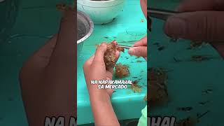 Download lagu Bird's Nest Soup From the saliva of Balinsasayaw #jmngavlogs mp3 Download lagu Bird's Nest Soup From the saliva of Balinsasayaw #jmngavlogs mp3