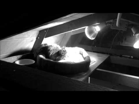 Gold Hill Hotel Video 1