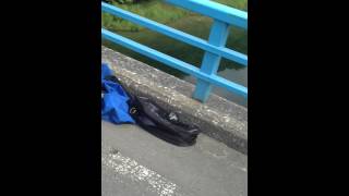 IMG 17611