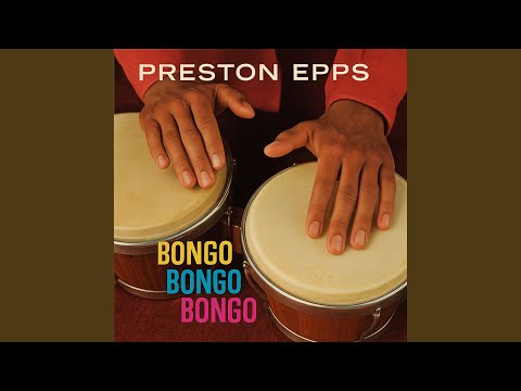Bongo in the Congo