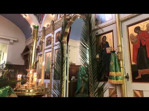 2021-0425 Divine Liturgy - Palm Sunday