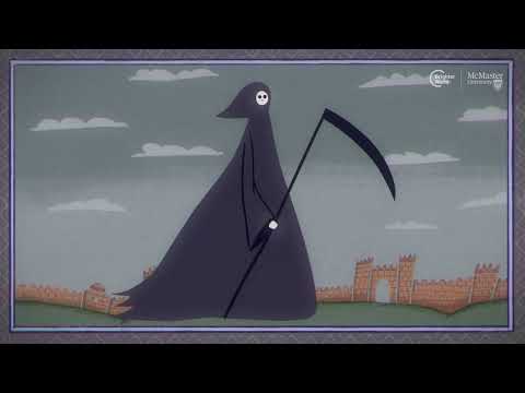 Attenuation of virulence in Yersinia pestis across three plague pandemics