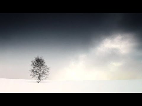 Dub Techno Sessions Episode 069[Guest Mix by TheseShapes]