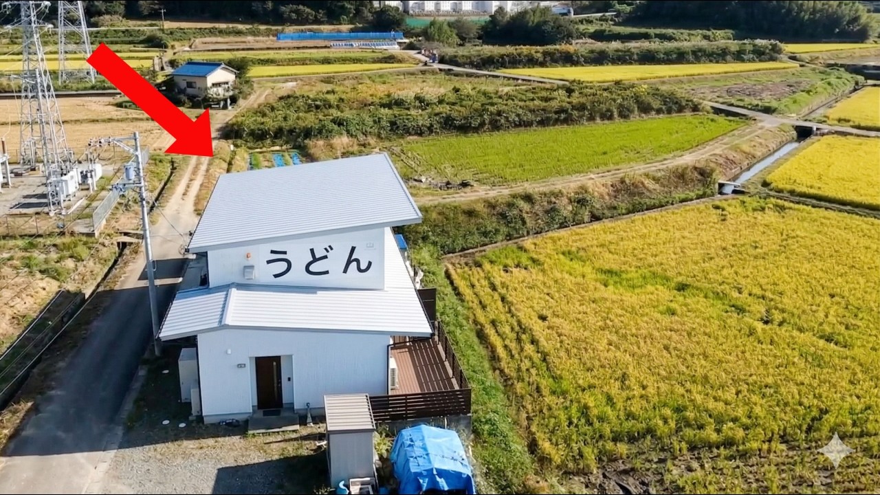 田んぼにドーンと大盛り天ぷらうどん店！衝撃メニューで客を唸らせる新進気鋭の経営者がスゴい丨愛知三河の人気店３選