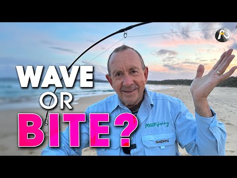 How You Detect a BITE & Hook the Fish! Beach Fishing Basics ✅