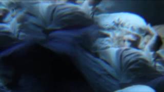 Earring - Pure Pleasure (Official Video)