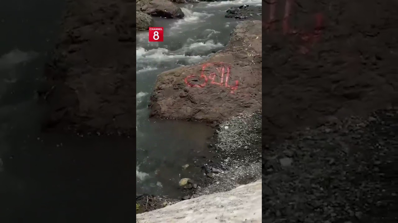 ڤیدیۆ | هۆرنەی باڵەکیان لە دەڤەری برادۆست