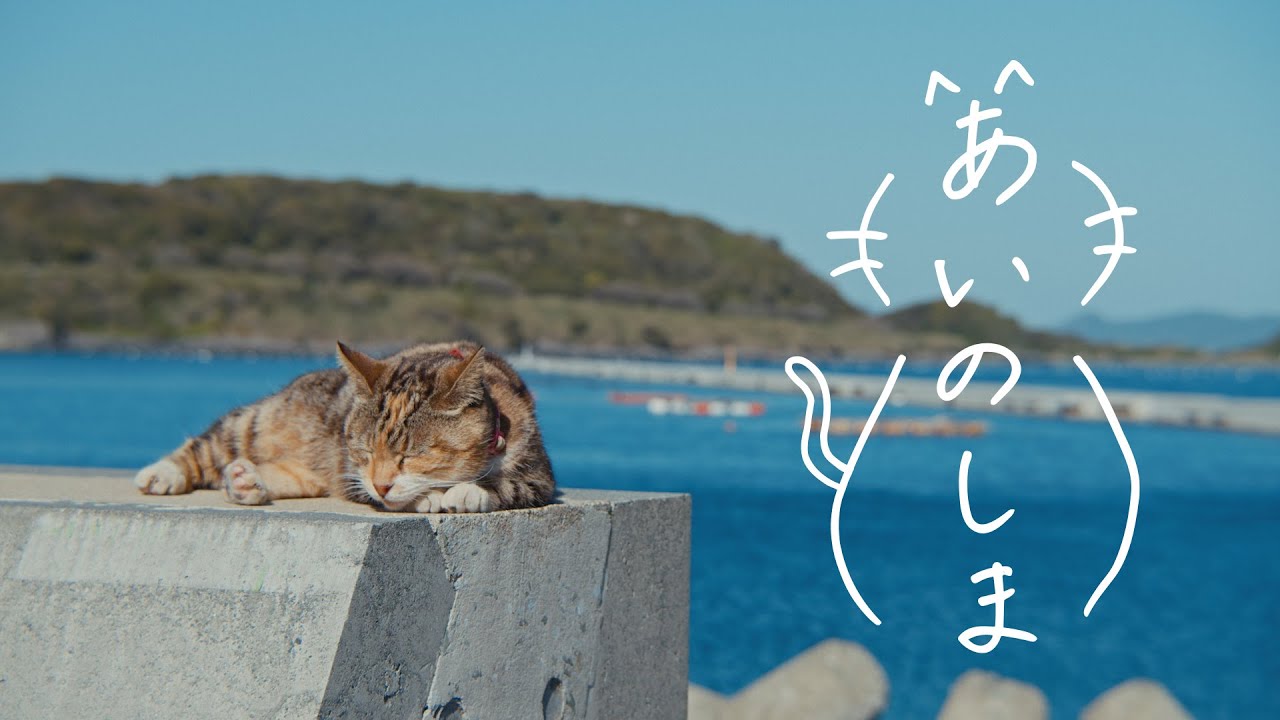 【予告編】短編映画『あいのしま』