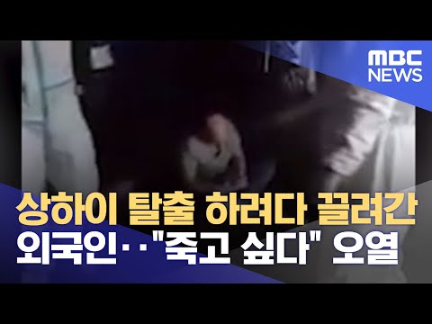 아이콘