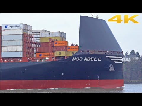 🛳️ SHIPSPOTTING PORT OF HAMBURG ⚓️ WITH FIRST ARRIVAL OF CONTAINER SHIP MSC ADELE 2025