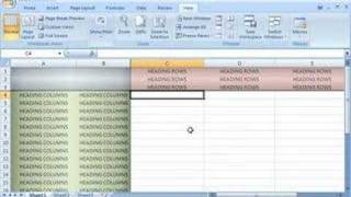 Excel 2007: Freeze or unfreeze rows and columns
