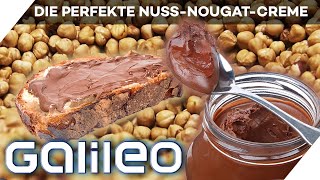 Nuss, nussiger, selbstgemacht! So geht die perfekte Nuss-Nougat-Creme | Galileo | ProSieben