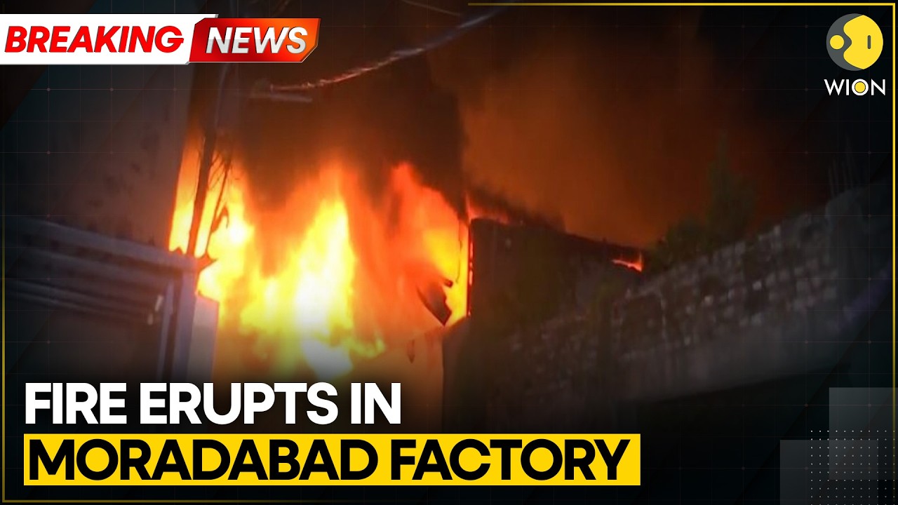 Uttar Pradesh: Fire Breaks Out at Factory in Moradabad | WION Breaking