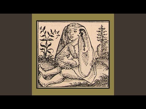 the wandering bard's song