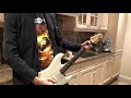 Pyngwie Martinsteen Martin Stein Follow The Sign Helloween Cover
