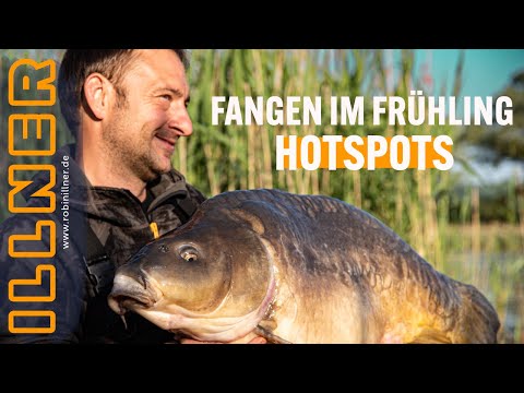 Catching in spring - flat for carp. 🎣💪🏻🐳 #carpfishing #carp #robinillner