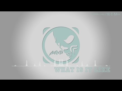 What Is It Like video