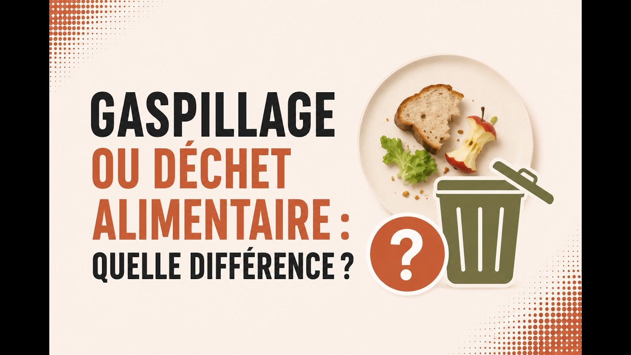 Food waste or food scraps: what's the difference?