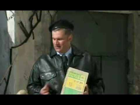 Die Komiker  Rüsseldackelfalter