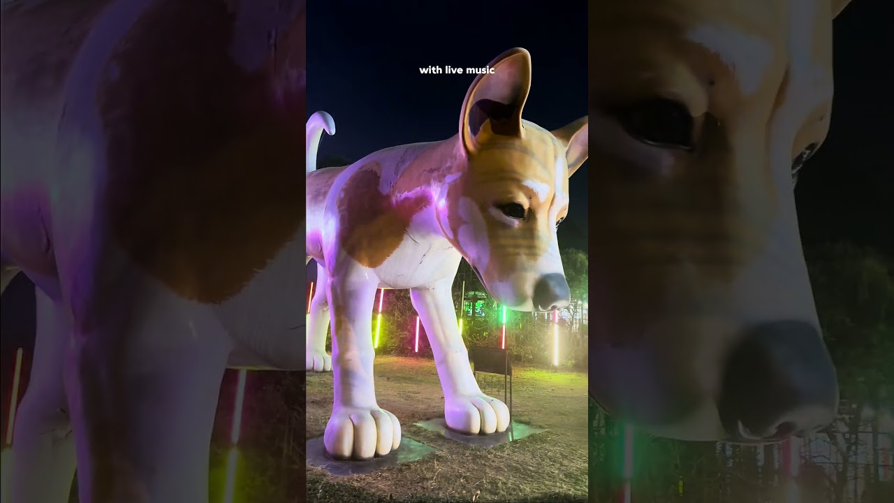 YouTube Short thumbnail