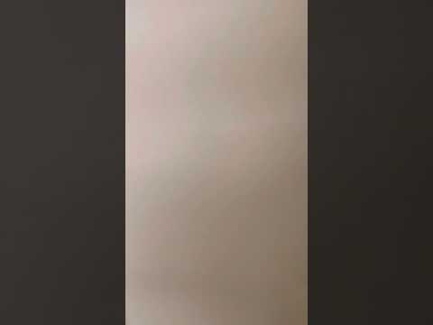 Center Parcs 2023 - Park Allgäu - 6 Personen Exclusive Haus (Nr. 938)