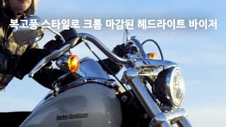 2018 로우 라이더(Low Rider®)