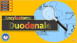 Download Lagu Anchylostoma duodenale-Hook worm: causing anemia | Parasitology | by Imran Yaseen Thumbnail