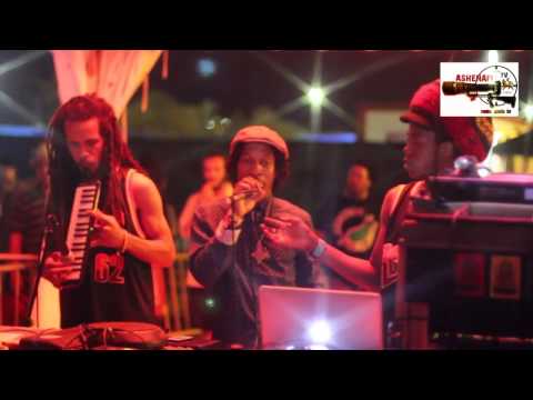 rototom dub corner 2014